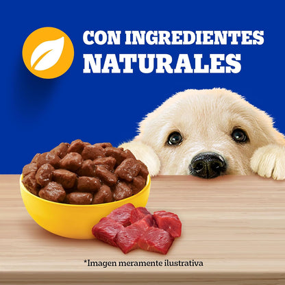 Pedigree - Sobres para Perro Cachorro, Res En Filetes, Nutrición para tu Mascota, Proteínas y Fibras, 24 Sobres