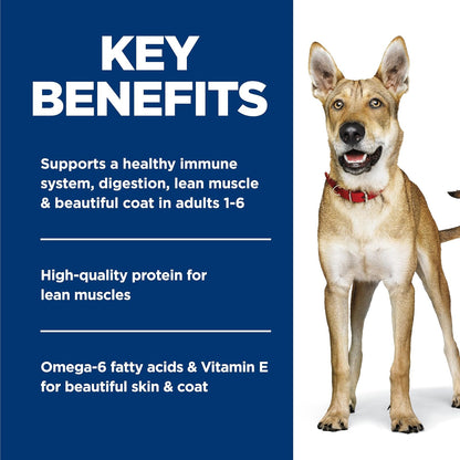 Hill's Science Diet Alimento Húmedo para Perro Adulto Pollo 12 Pack 369G | Alimento húmedo Hill's para perro, digestión saludable, sistema inmunológico fuerte, omega-6 y vitamina E