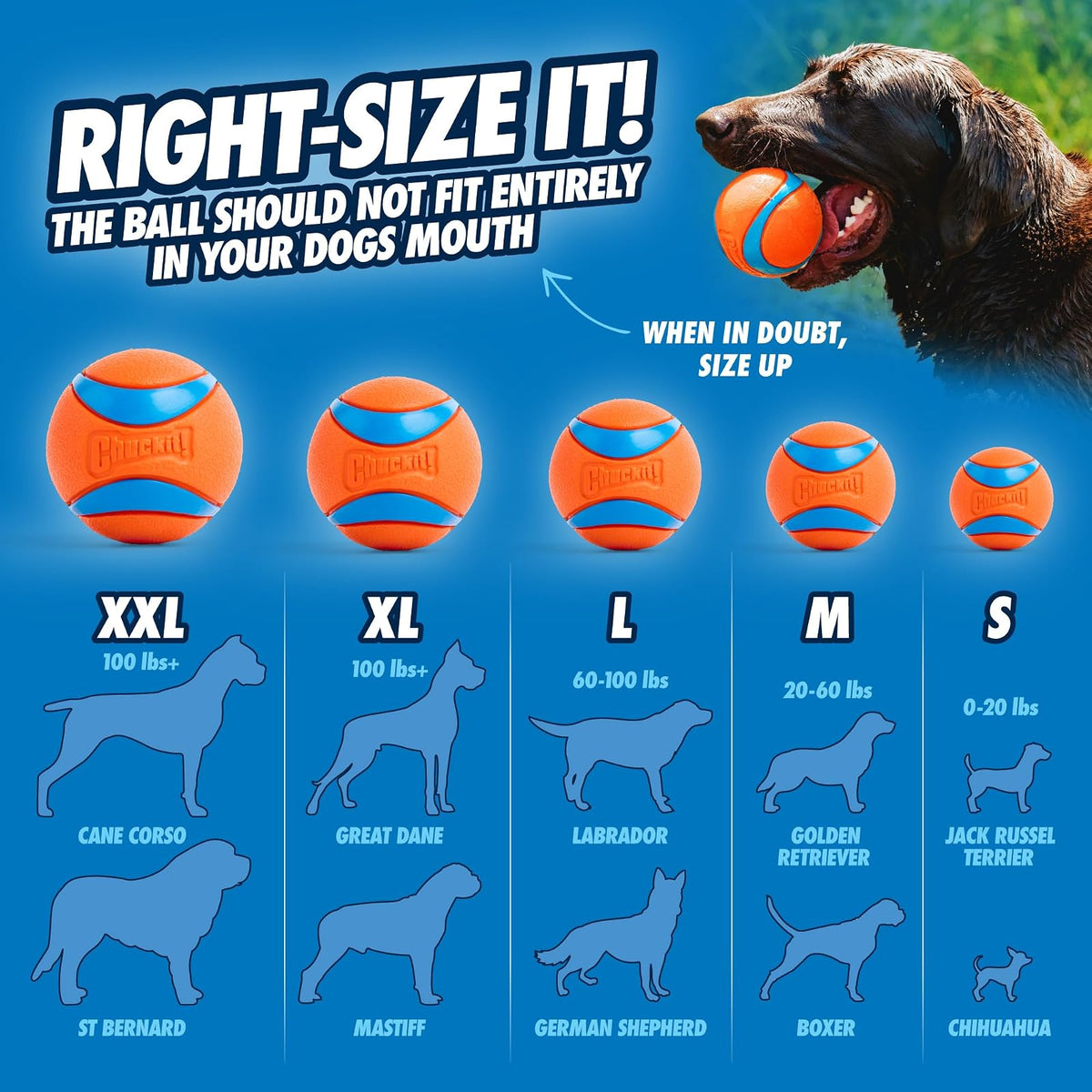 Chuckit! DO817030 Pelota Ultra, talla grande, 1 Pieza, Colores Surtidos