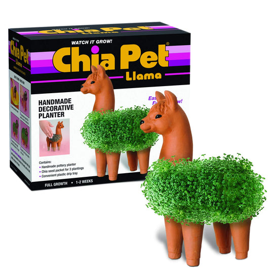 Chia - Llama para Mascotas con Paquete de Semillas, Maceta Decorativa de cerámica, fácil de Hacer y Divertido de Cultivar, Regalo novedoso, Perfecto para Cualquier ocasión