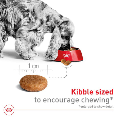 Royal CANIN - Alimento seco para perros adultos SIZE HEALTH NUTRITION MEDIUM, 17 libras