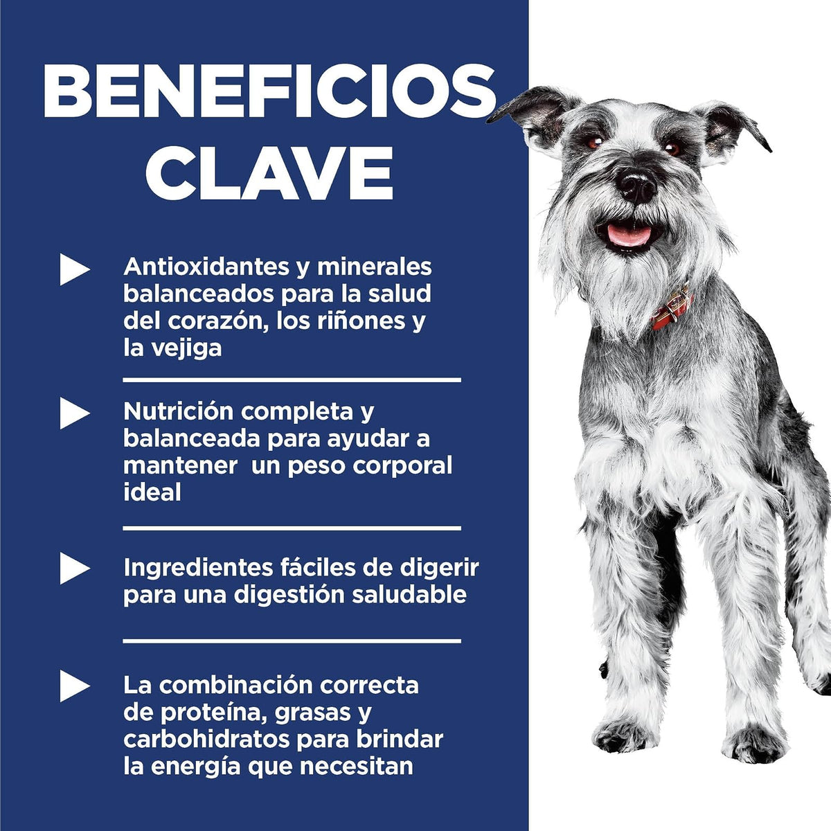 Hill's Science Diet Small Mini Croquetas para Perro Senior Sabor Pollo 2Kg | Croquetas Hill's para perro, pollo real, razas pequeñas, soporte envejecimiento, salud de corazón y riñones