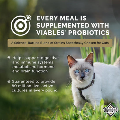 Diamond Pet Foods - Alimento seco para gatos adultos con sabor a pollo de Maintenance Formula, bolsa de 40 libras