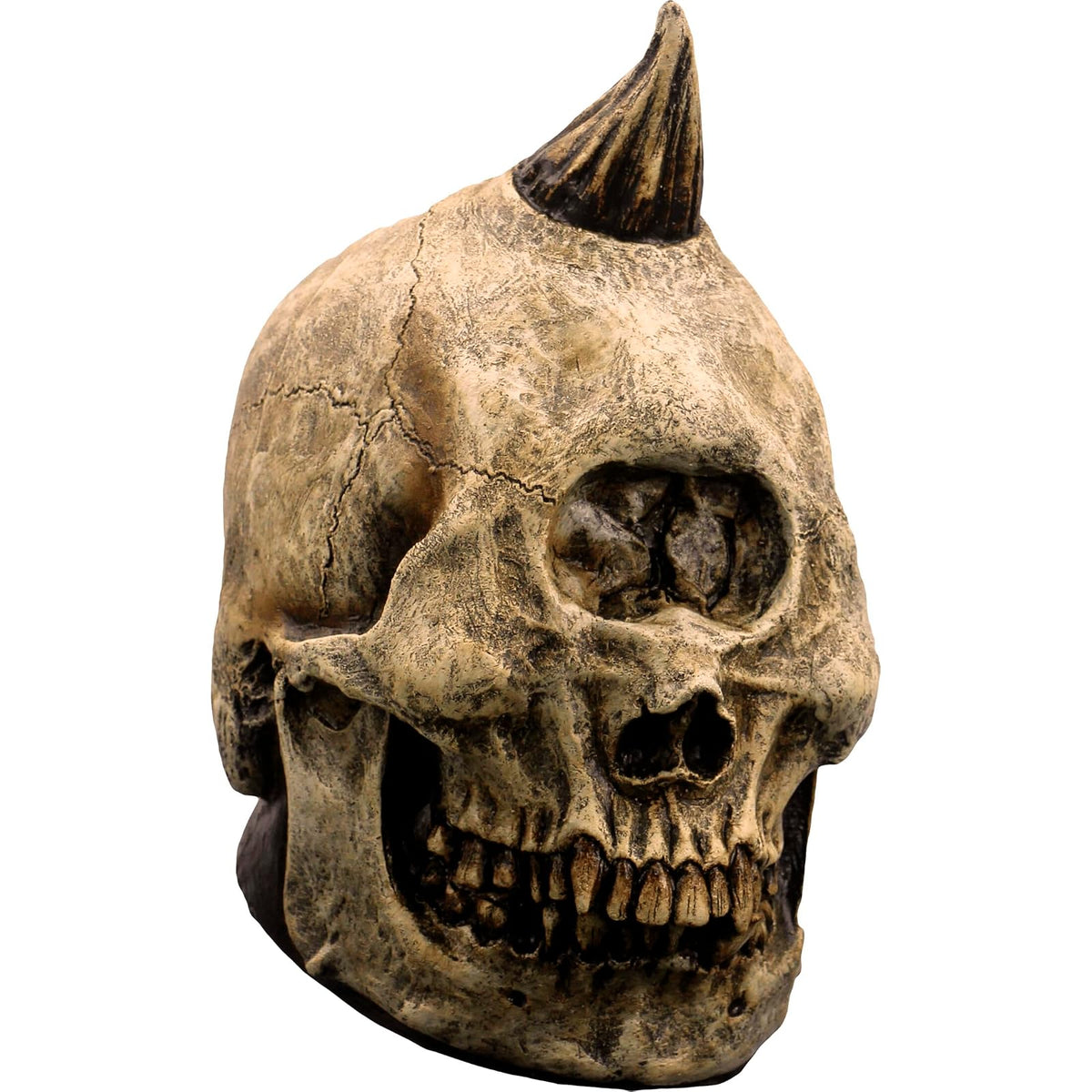 Ghoulish Productions Skull Cyclops Prop, Artículo Decorativo de Esqueleto de Cyclope, Adorno para Decoración de Halloween de Craneo de Monstruo Ideal para Casa de Terror