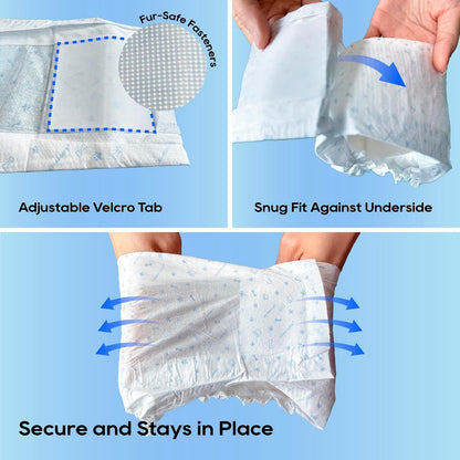 All-Absorb Envoltorio para Perro Masculino, Mediano