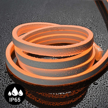 DOSYU Tira Neón Flex LED, 12V 16.4ft/5m Impermeable Flexible Cortable DIY 2835 Luces Led IP65 Decorativa para TV, Cuarto, Halloween, Fiesta de Navidad, con Adaptador(Naranja)