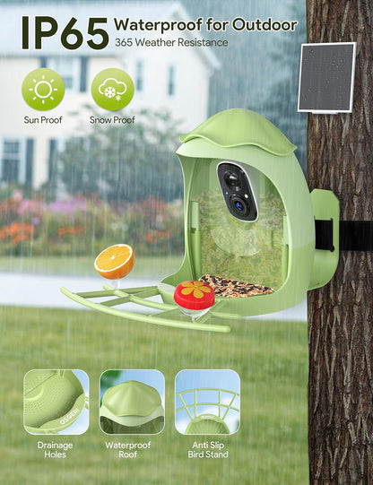 Osoeri - Alimentador inteligente para pájaros con cámara, cámara de alimentación solar HD con identificación de AI, captura automática de videos de pájaros y detección de movimiento, cámara de casa de