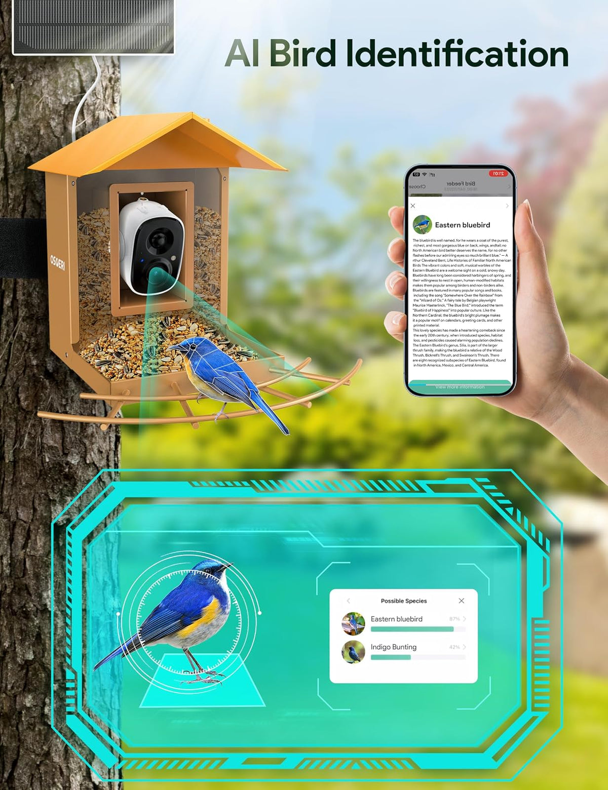 Osoeri Comedero para Pájaros con Cámara, Exterior, Solar, IA Identifica Aves, Captura Vídeos Automática, Alerta Inmediata, Regalo Ideal (Familia y Amantes)