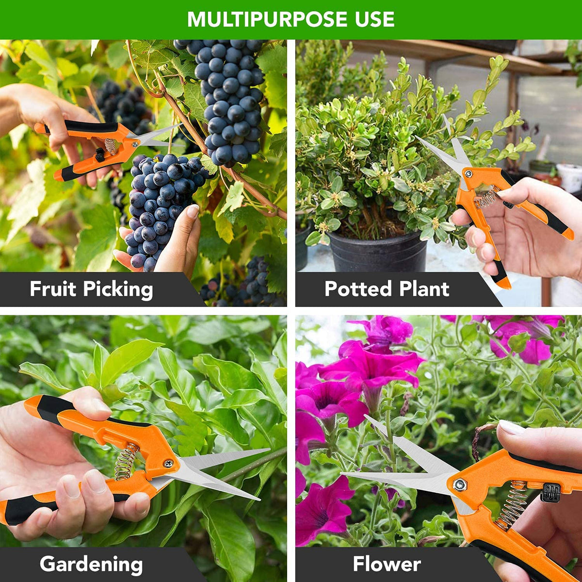 iPower Tijeras de jardinería de 6.5 pulgadas con cuchillas rectas de acero inoxidable, color naranja, 1 paquete