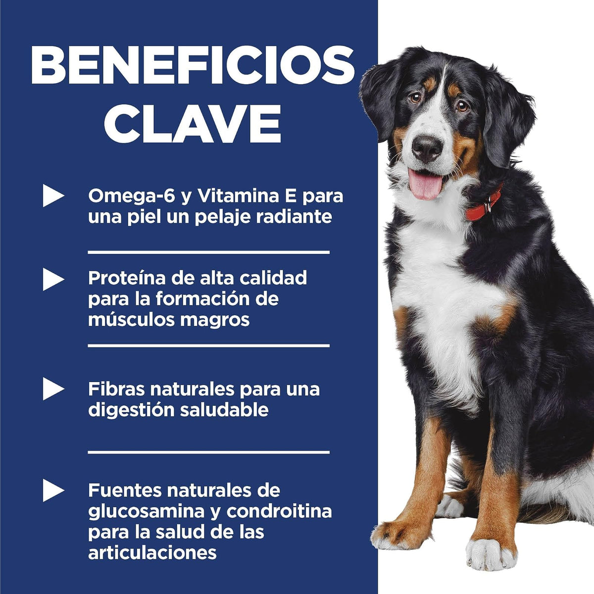 Hill's Science Diet Croquetas para Perro Grande Adulto Sabor Pollo 15Kg | Croquetas Hill's para perro, pollo real, razas grandes, vitalidad senior, salud de órganos vitales, energía diaria