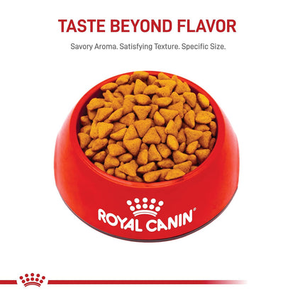 ROYAL CANIN, Indoor Adult, Croquetas para Gato, 1.36kg