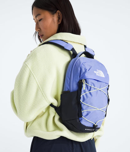 THE NORTH FACE 10l Mini Borealis Everyday Backpack | Water Repellent Finish, Travel Essential Daypack With a Padded Tablet Sleeve Mochila Unisex adulto