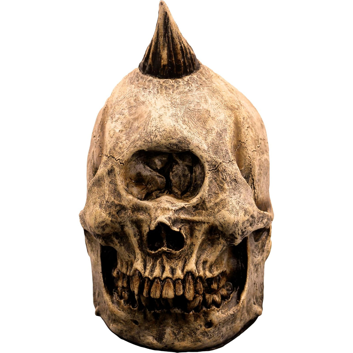 Ghoulish Productions Skull Cyclops Prop, Artículo Decorativo de Esqueleto de Cyclope, Adorno para Decoración de Halloween de Craneo de Monstruo Ideal para Casa de Terror