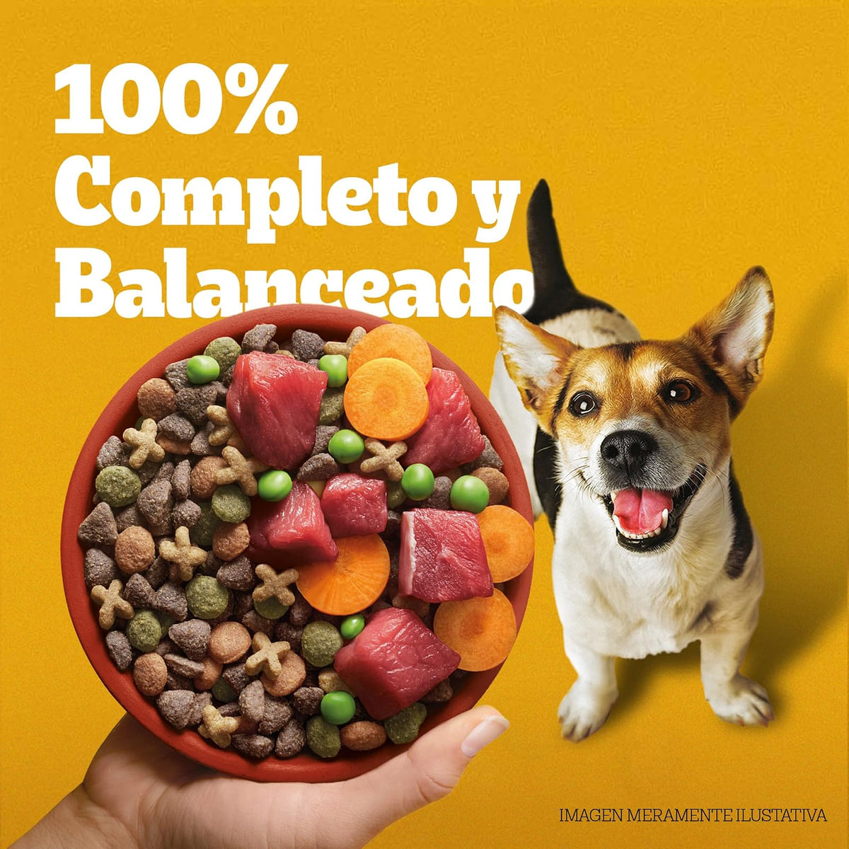 Pedigree - Croquetas para Perro Adulto 20 kg, con Res y Vegetales, Razas Pequeñas, con Proteína, Fibra y Antioxidantes
