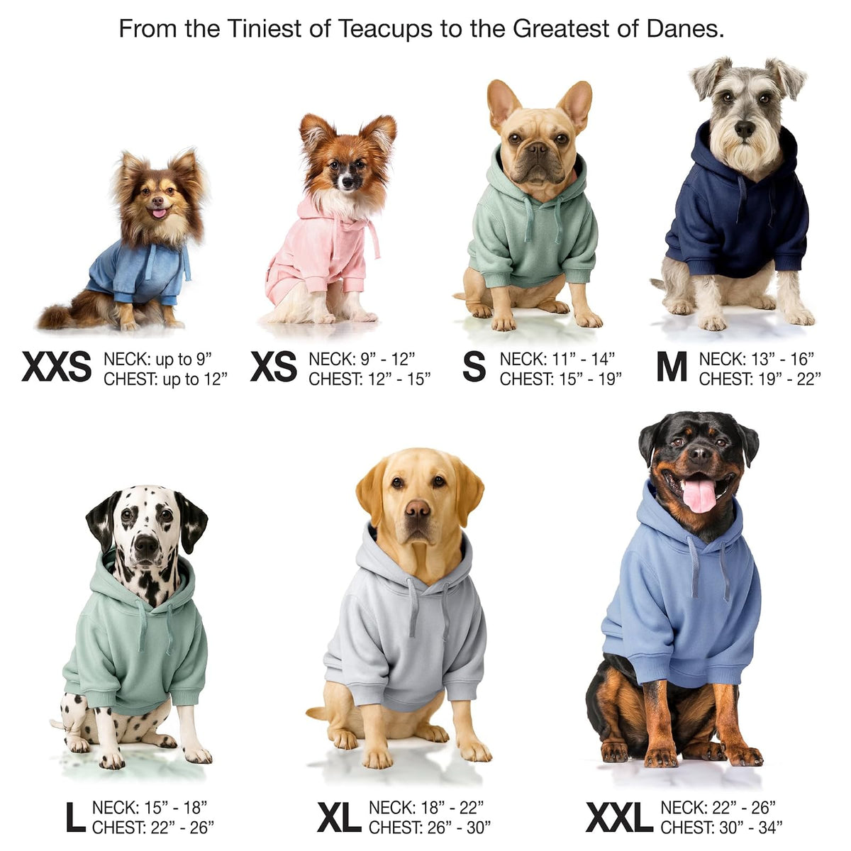 Pet Passion - Chamarra con Capucha para Perros pequeños, medianos y Grandes, Tela Vaquera decolorada, Talla XXL