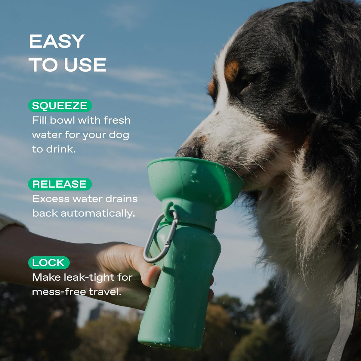 Springer Flip Botella de Agua para Perros 20 oz | Tazón de silicona plegable, a prueba de fugas, grado alimentario, sin BPA, mosquetón incluido