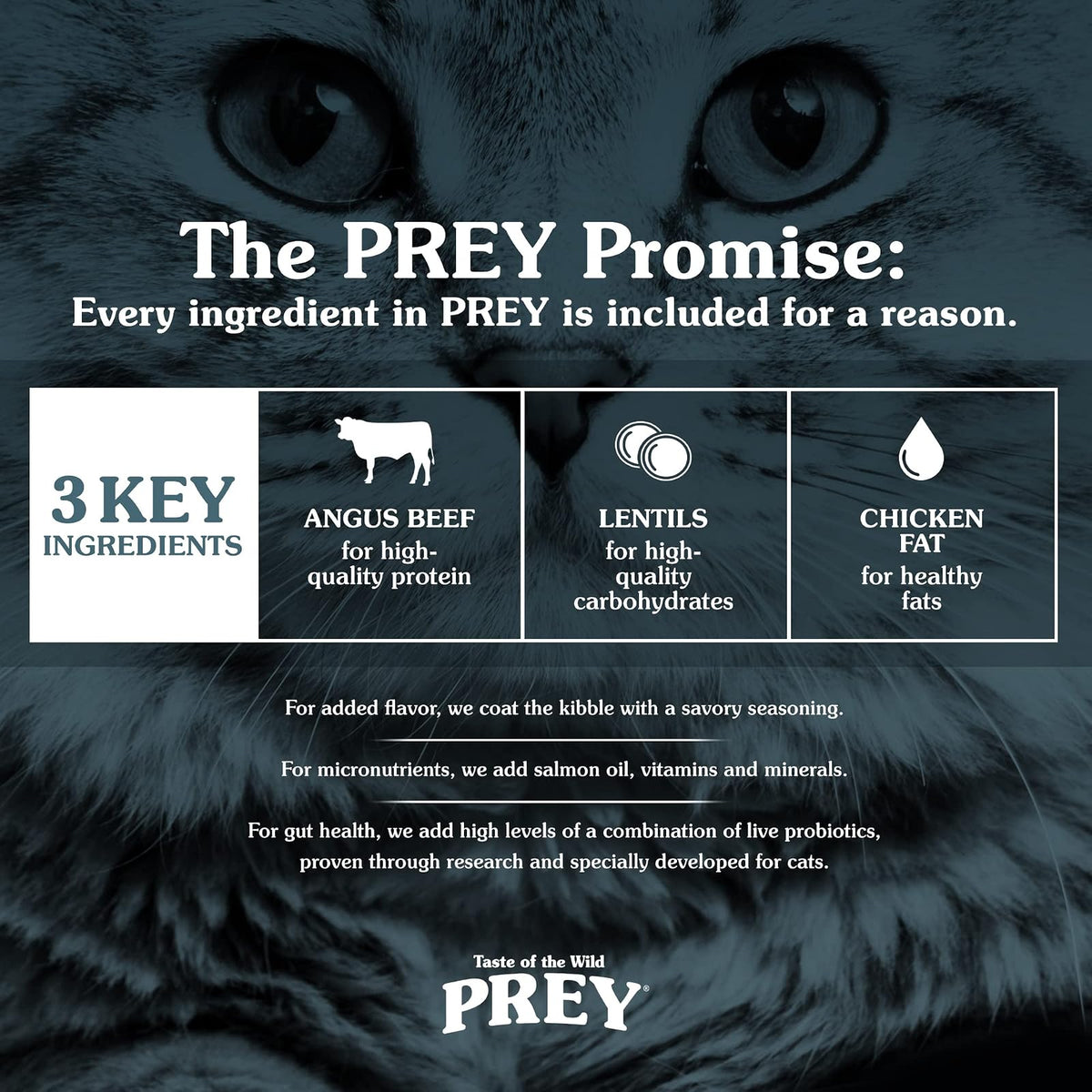 Taste of The Wild Prey Res Angus Alimento para Gato | Res Angus como ingrediente principal, ingredientes limitados, sin granos, fórmula para gatos adultos