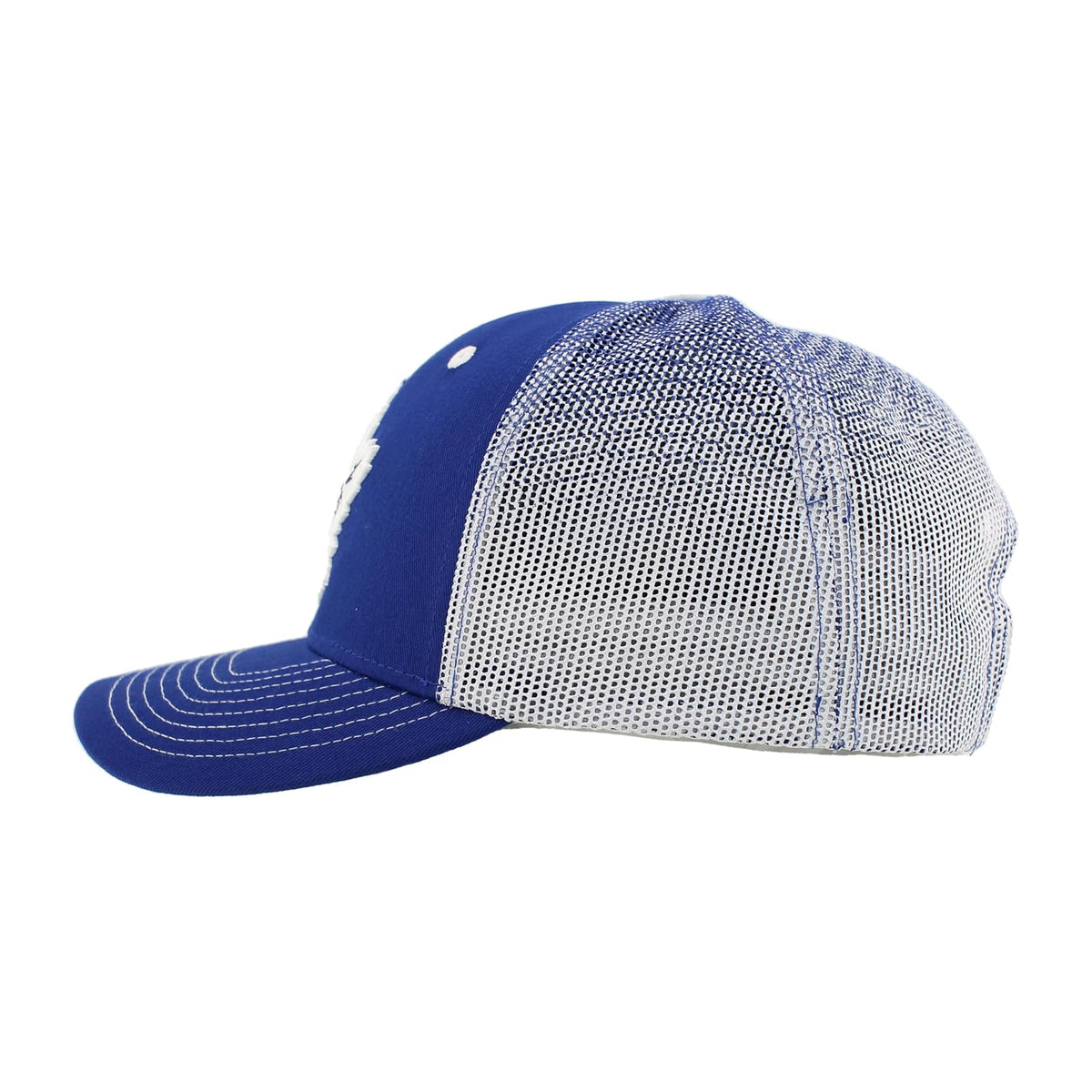 ZHATS NHL - Sombrero Ajustable con Licencia Oficial de Snapback Big Rig Ombre