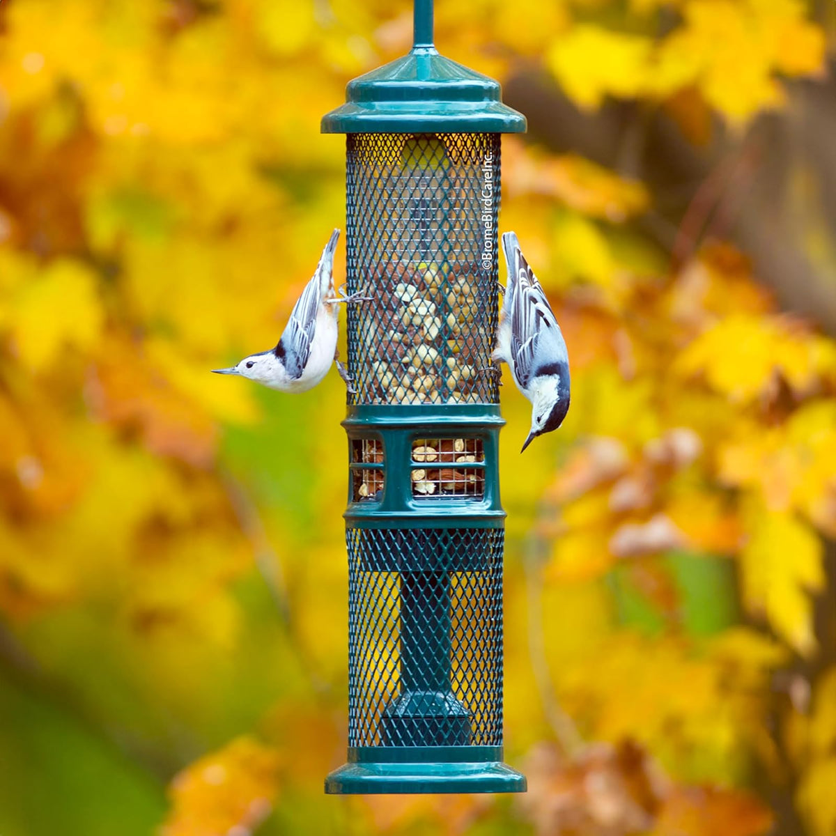 Squirrel Buster Comedero de Tuercas Prueba de Ardillas para Frutos Secos y Frutas, Dos Mallas