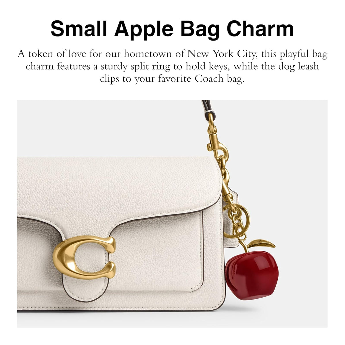 Coach Bag Charm Llavero Mujer