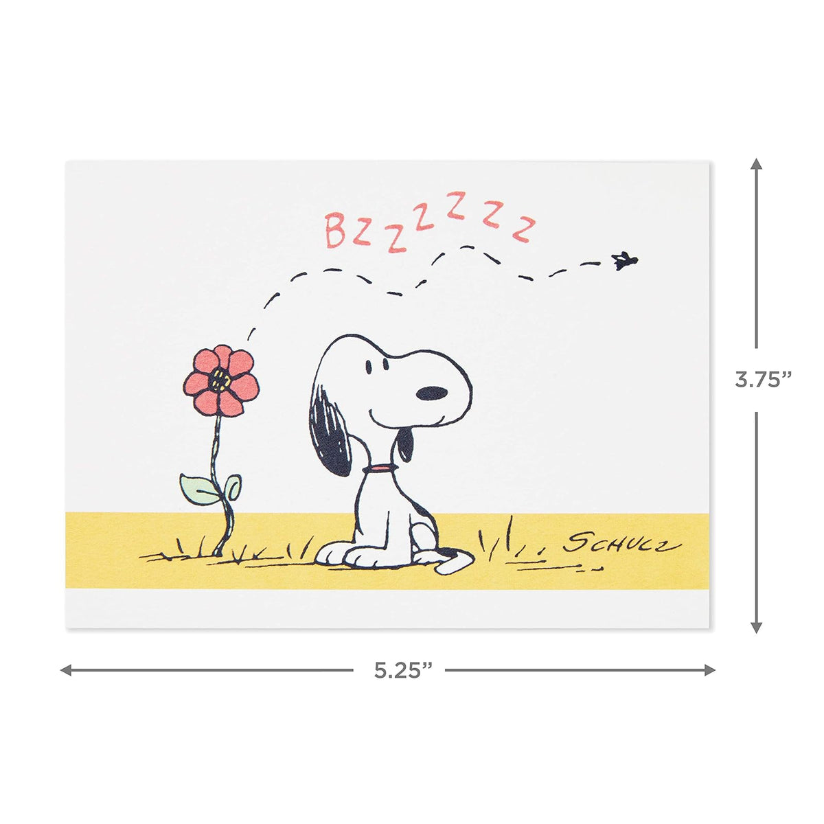Hallmark Peanuts - Surtido de tarjetas en blanco, 70 aniversario (40 tarjetas de notas con sobres)