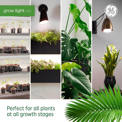 GE - Luces de cultivo para plantas de interior, bombillas LED A19 para flores y frutas con espectro avanzado de luz roja, luz blanca para plantas de interior, 25.000 horas de vida útil, 15 PPF,