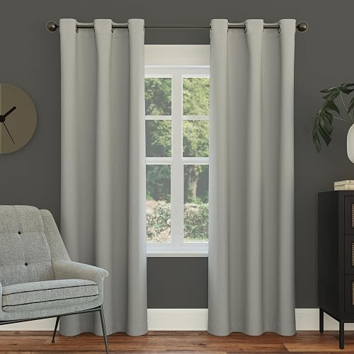Sun Zero Easton - Panel de Cortina oscurecedora con Ojales, Ahorro de energía, 40 x 108 Pulgadas, Gris Plateado