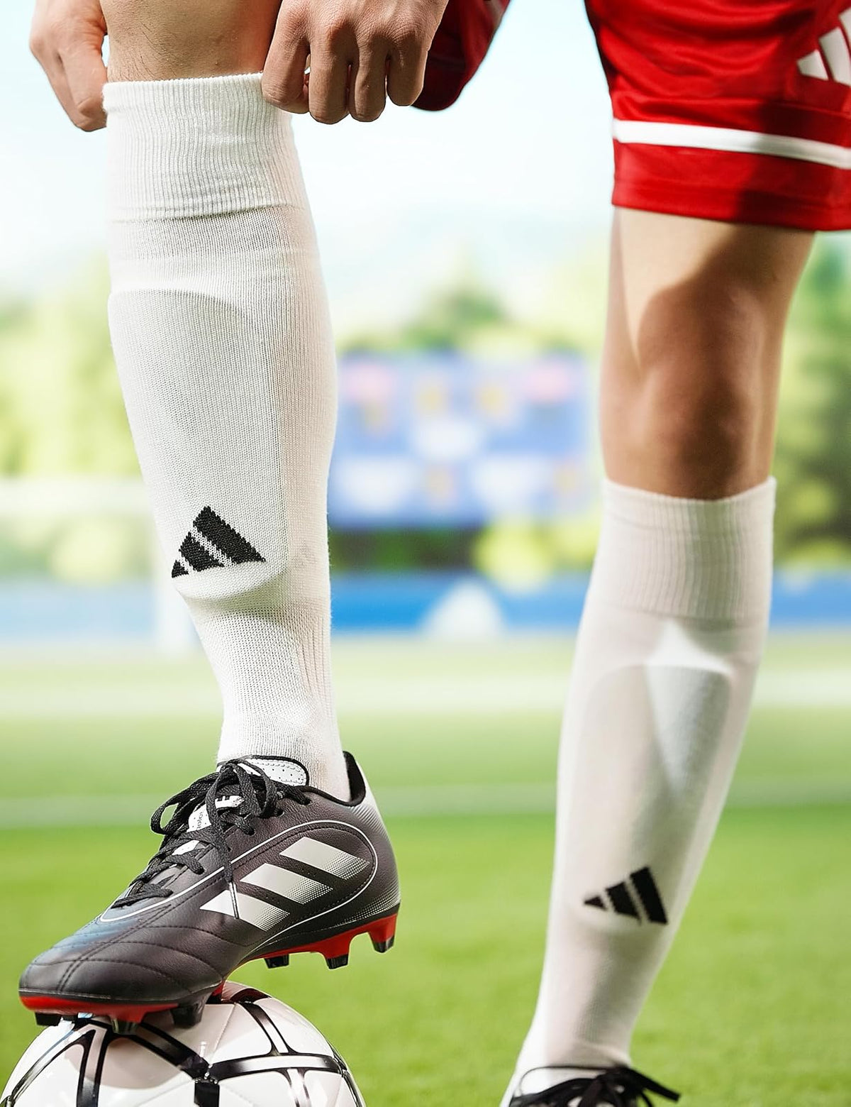 adidas Utility All Sport Over the Calf (Otc) Socks (1-pair) Equipo de calcetines OTC Unisex adulto