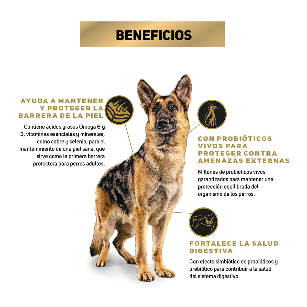 Purina Pro Plan Adulto Todos los Tamaños Sensitive Skin & Stomach Sabor Carne de Pavo 10Kg
