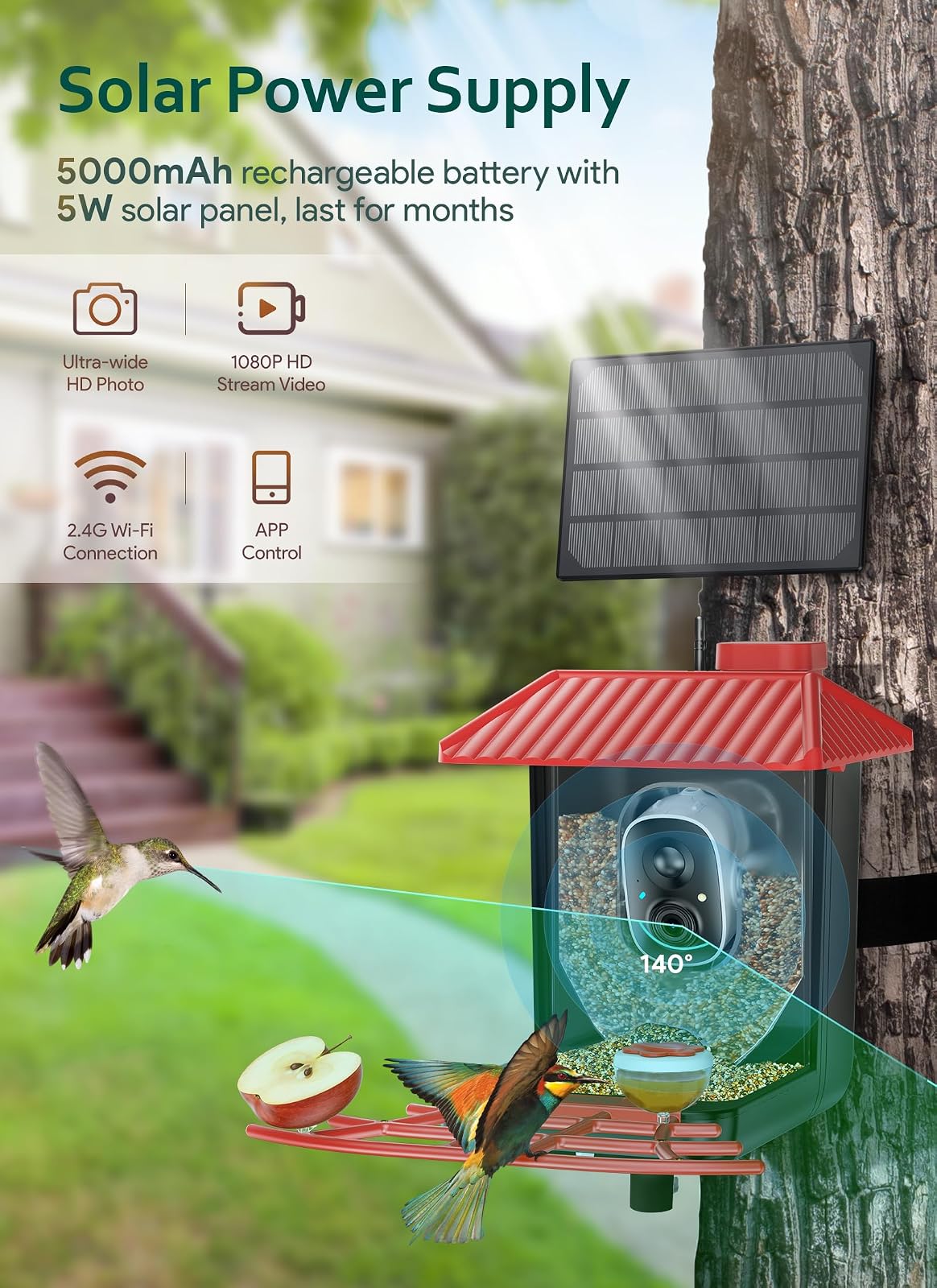 Osoeri Comedero para Pájaros con Cámara, Inteligente con IA, Identifica Aves, 1080P, Captura Vídeos Automática, Detección de Movimiento, Accesorios DIY, Regalo (Rojo Negro)