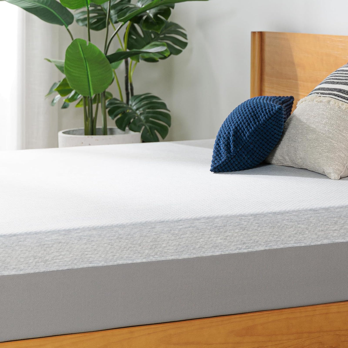 ZINUS - Colchón de Espuma viscoelástica Esencial de té Verde de 8 Pulgadas, Cama en una Caja, colchón asequible, Certificado CertiPUR-US,