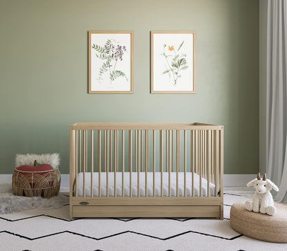 Graco Teddi Cuna convertible 5 en 1 con cajón (Natural) - Certificación GREENGUARD Gold, cuna con cajón combo, cajón de almacenamiento de tamaño completo