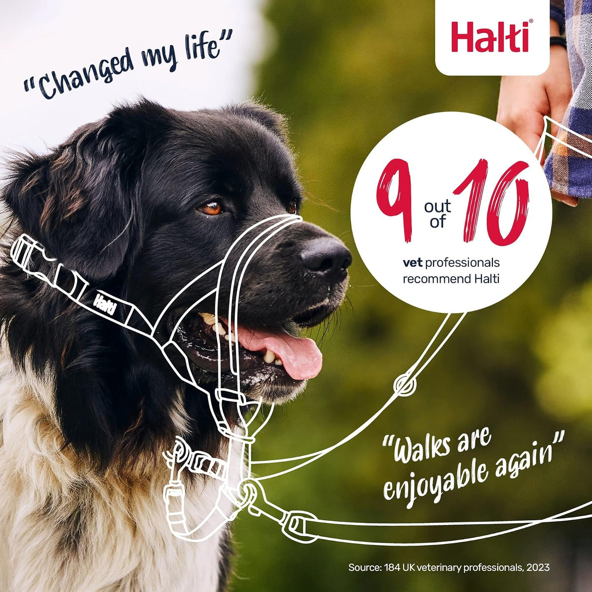 The Company Of Animals DCN11400 Size-1 Halti Head Halter/Collar, Red by Company of Animals