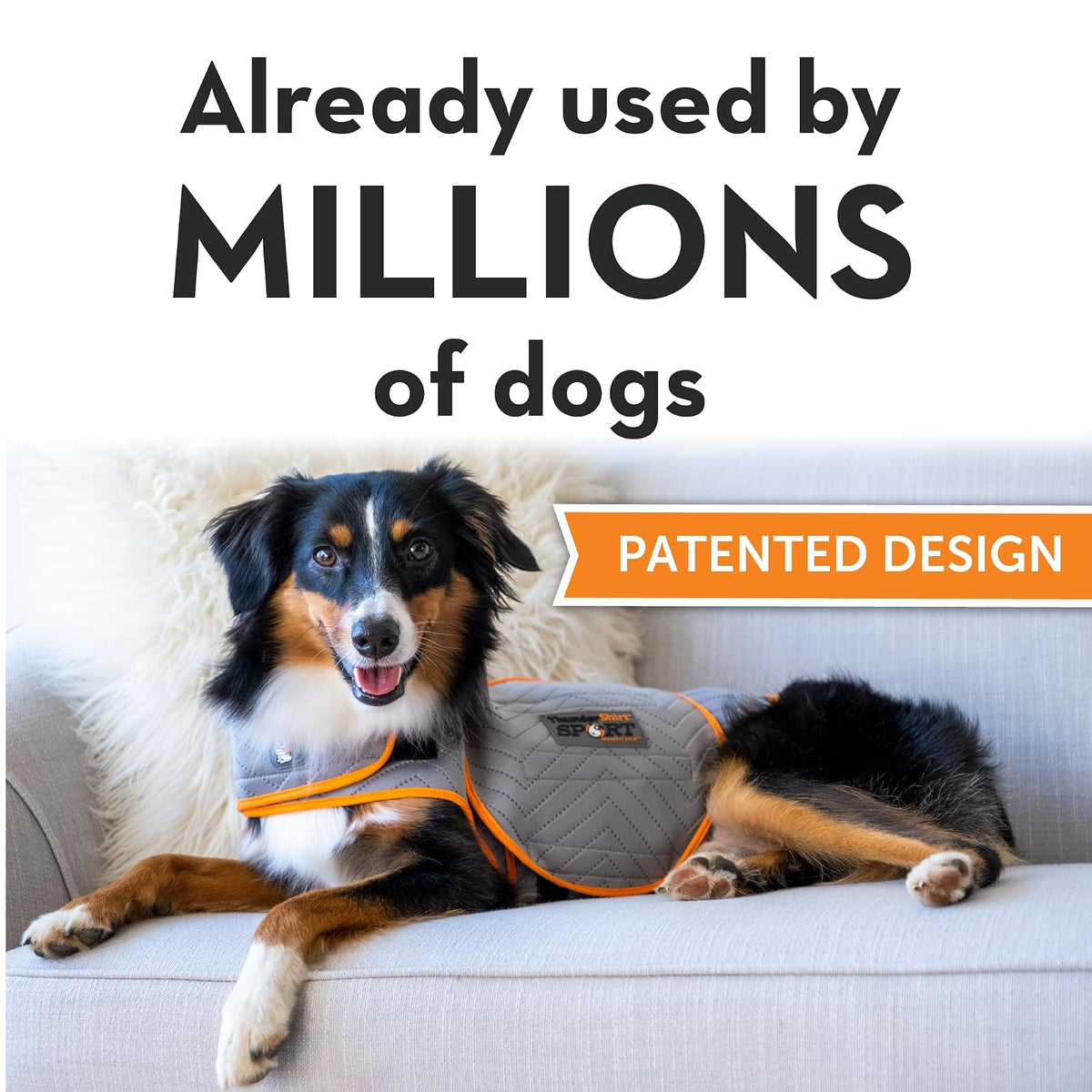 ThunderShirt Chaleco de ansiedad para Perros pequeños, Platinum Sport
