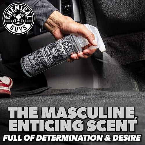 Chemical Guys Black Frost Ambientador y Eliminador de Olores, (ideal para automóviles, camiones, todoterrenos, caravanas, casa, oficina, dormitorio y más) 473 ml