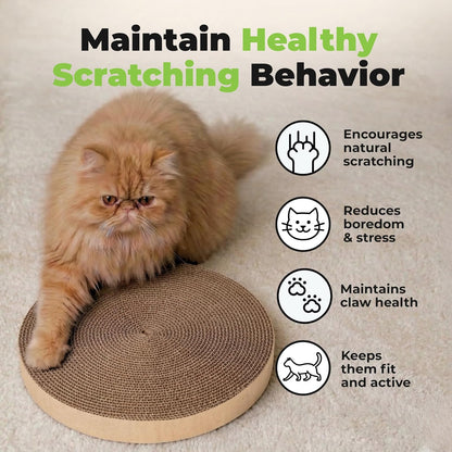 Best Pet Supplies Rascador para Gatos con Bolas giratorias interactivas para Juego Activo, cartón Corrugado Reciclado Natural, soporta el Comportamiento de Las Mascotas, Alivia el estrés, 5 Unidades