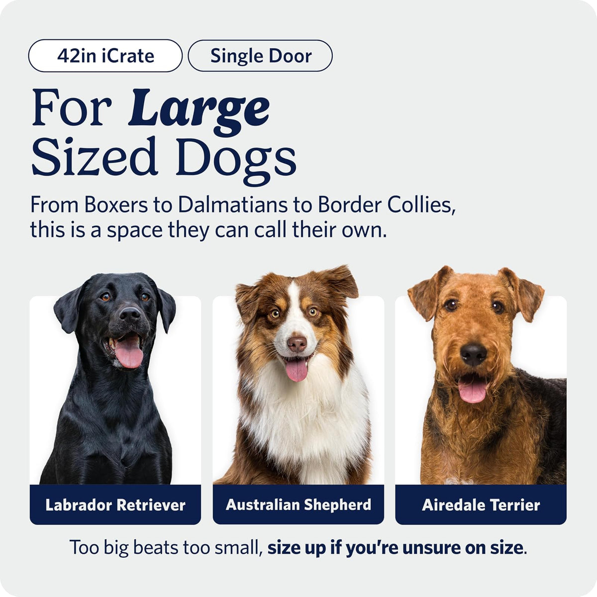 MidWest Homes for Pets Caja para perro iCrate de una y doble puerta mejorada, incluye sartén a prueba de fugas, pies protectores de suelo, panel divisor y nuevas características patentadas