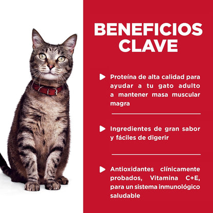 Hill's Science Diet Alimento Húmedo para Gato Adulto Pescado 24 Pack 79G | Alimento húmedo Hill's para gato, pescado marino, digestión saludable, sistema inmunológico fuerte, omega-6 y vitamina E