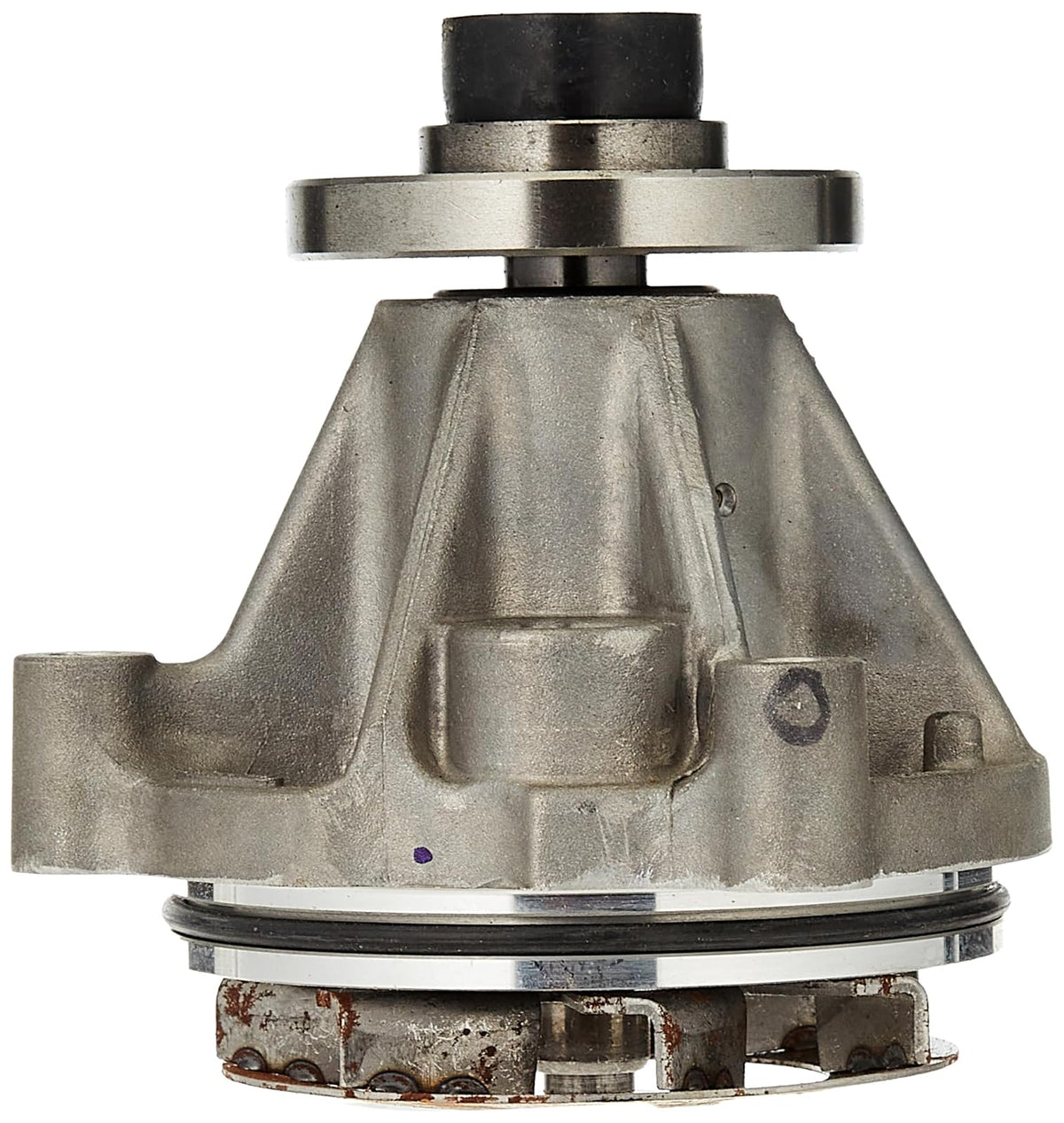Motorcraft Bomba de Agua PW423, Negro