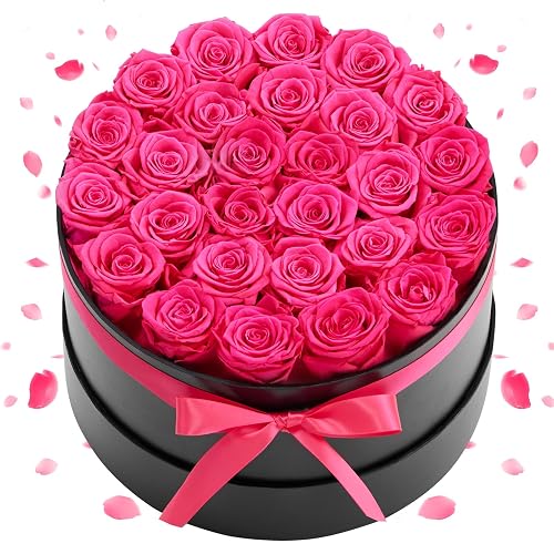 VEVOR 27 Rosas Eternas en Caja Redonda, Ramo de Flores Preservadas, Caja de Regalo de Flores para Esposa, Madre, Pareja, Boda, Día de la Madre, San Valentín, Navidad, Rosa Roja, 227 x 227 x 140 mm