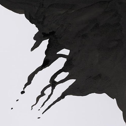 Winsor & Newton Drawing Ink Tinta de Dibujo de Secado Rápido, Negro (Black), 30 ml