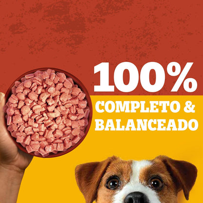 Pedigree Alimento Húmedo Raza Pequeña Sabor Res en paté Filetes 24 Sobres