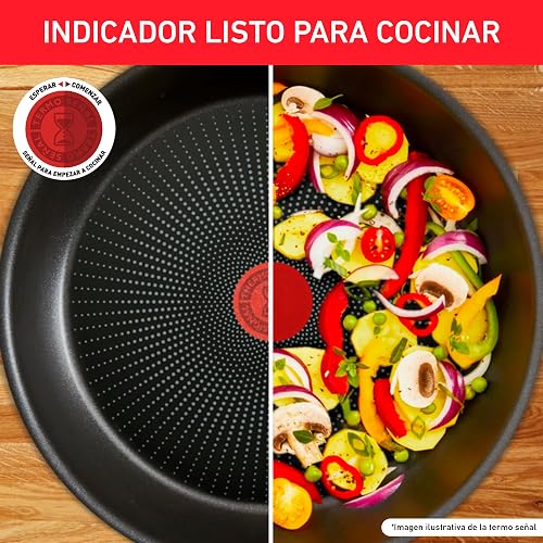 T-FAL Bateria de Cocina de 13 piezas Family Cook Gris con antiadherente Resist Plus 100 seguro para tu salud. Todo lo que necesitas para tu cocina. Tecnología Thermo-Señal, B479SD84.