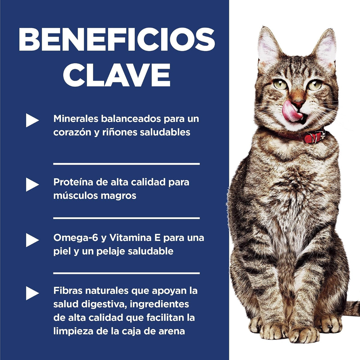 Hill's Science Diet Indoor Croquetas para Gato Senior Sabor Pollo 3.2Kg | Croquetas Hill's para gato, pollo real, vitalidad senior, salud de órganos vitales, energía diaria