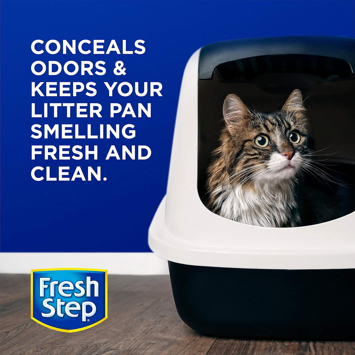 Fresh Step Cat Litter Crystals | Deodorizador de Caja de Arena | Combate Olores de Gatos y Neutraliza Olores | Brisa de Verano, 70 oz, 4.6X Contenedor Más Grande
