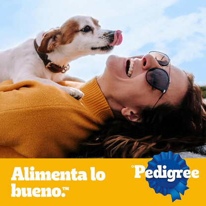 Pedigree Pancita Saludable Croquetas para Perros Adultos Sabor Salmón, Pavo y Zanahoria 4kg