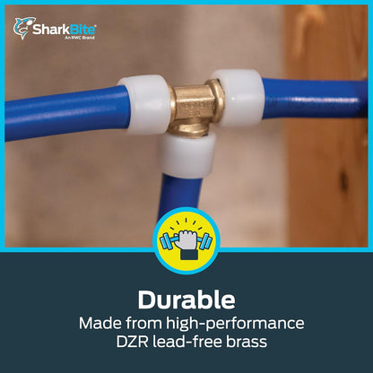SharkBite UA518A5 - Tapón de expansión de Polietileno de 3/4 Pulgadas para tubería PEX-A, Paquete de 5, Accesorios de fontanería de plástico, Enchufe de Extremo para tubería PEX-A