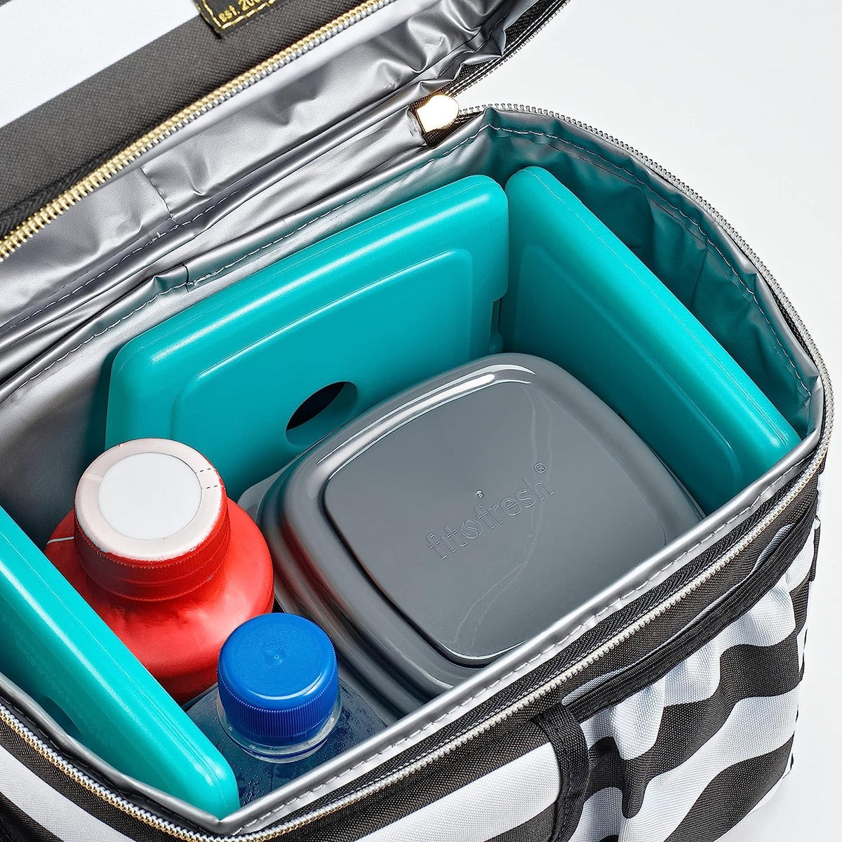 Fit & Fresh Cool Coolers - Bolsas de Hielo Delgadas y Reutilizables para Bolsas de Almuerzo, Bolsas de Playa, enfriadores y más, Varios tamaños y Colores