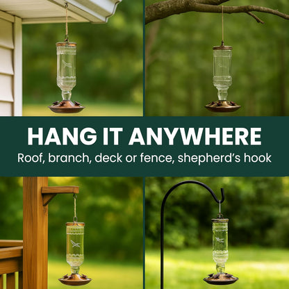 Perky-Pet 8107-2 Antique Bottle 10-Ounce Glass Hummingbird Feeder, Clear