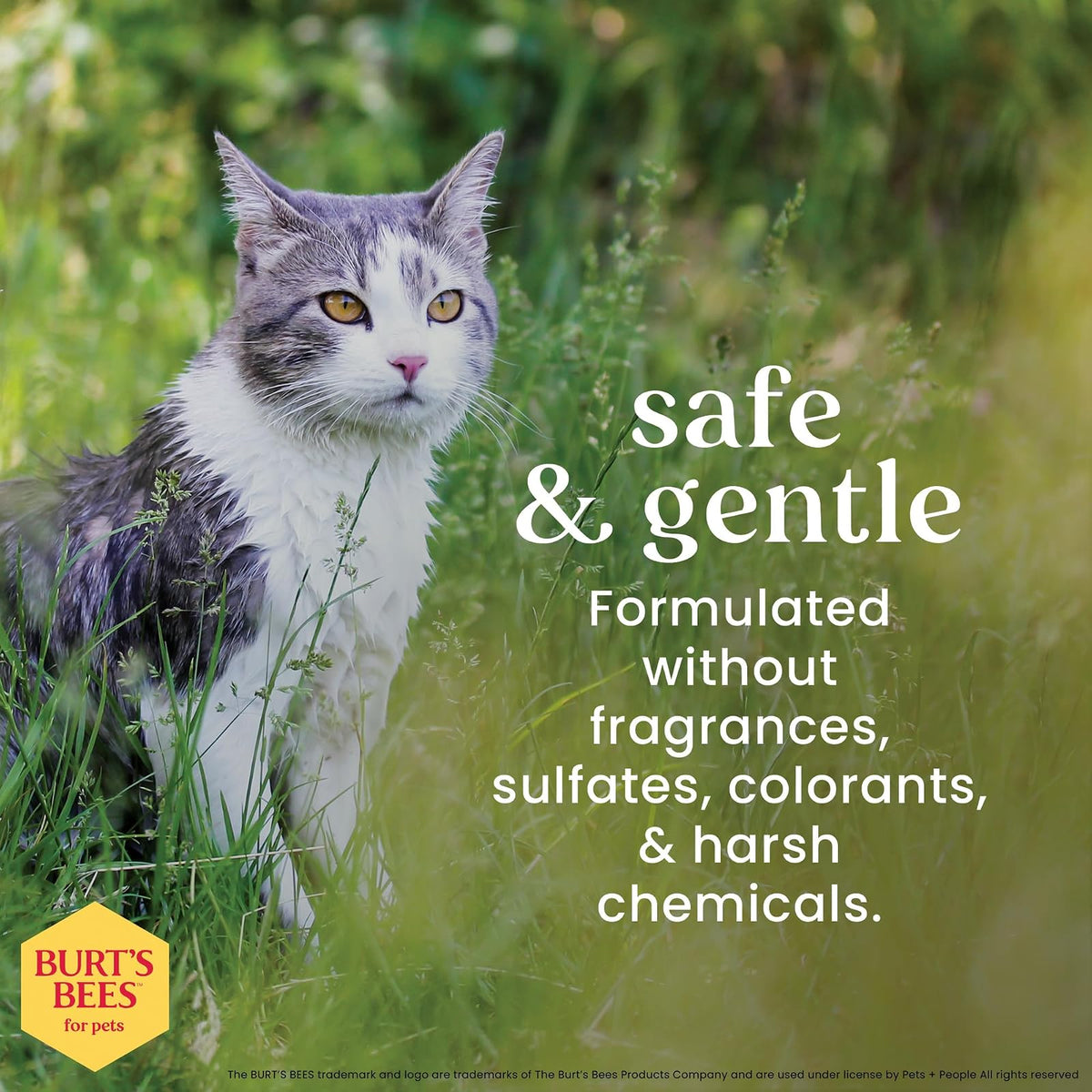 Burt's Bees Spray Reductor de Caspa para Gatos, Fórmula Calmante, 296 ml, Sin Fragancia Fuerte